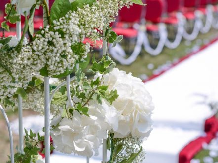 DECORATIUNI SALA 282