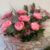 BUCHET DE FLORI 65